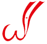 日照網(wǎng)絡(luò)公司